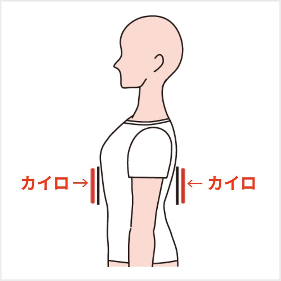 人体図 横向き